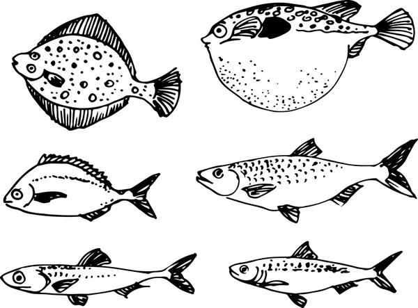Zestaw ryb. Ilustracja wektorowa — Wektor stockowy