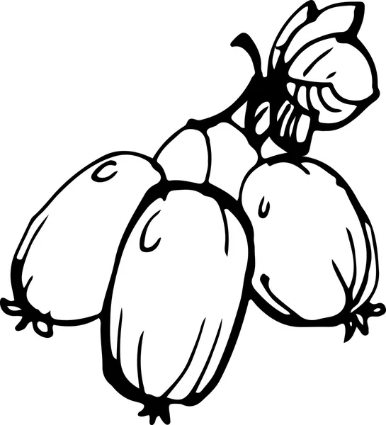 Schwarze Ecke Küchenecke / Schwarze Vektor Spitze Ecke | Stock-Vektor