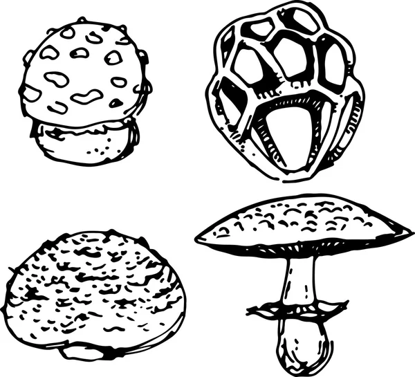 Ensemble de champignons. Illustration vectorielle — Image vectorielle