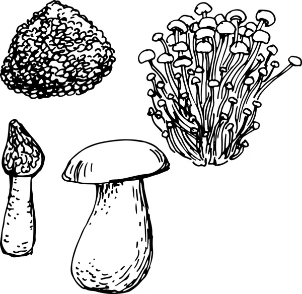 Ensemble de champignons. Illustration vectorielle — Image vectorielle