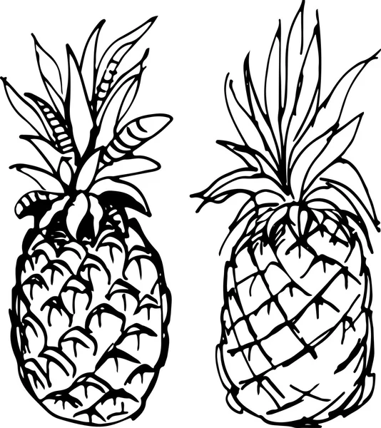 Ananas. Illustrazione vettoriale . — Vettoriale Stock