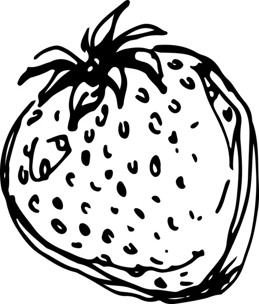 Strawberry. Vector illustration — Stock Vector