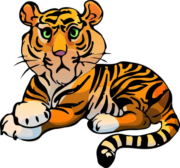 Тигр. Векторная иллюстрация — стоковый вектор