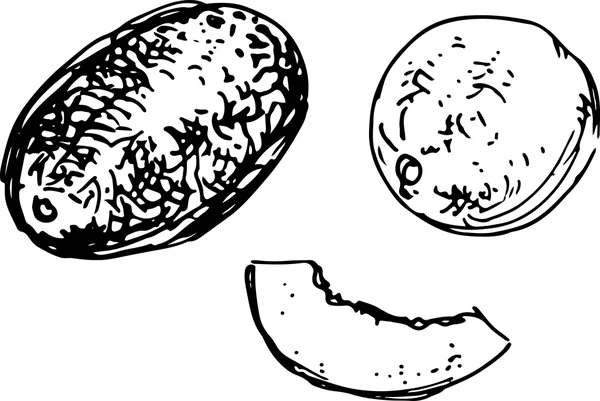 Du melon. Illustration vectorielle — Image vectorielle