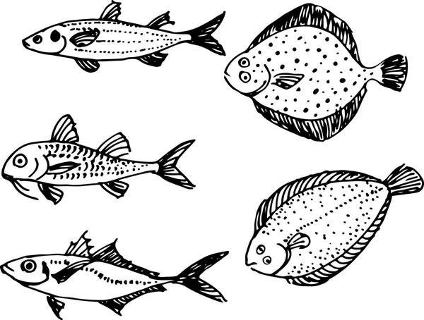 Fish set. Vector illustration — Stock Illustration Fish set. Vector illustration Royalty Free Stock Vectors