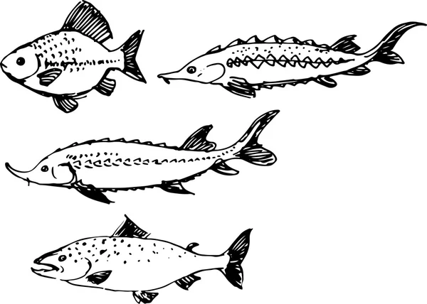 Рыбный набор. Векторная иллюстрация Стоковая Иллюстрация