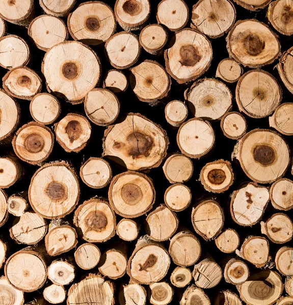 Pila de troncos de madera — Foto de Stock