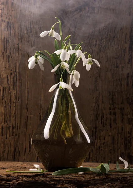 Snowdrops in vase — Stock Photo, Image