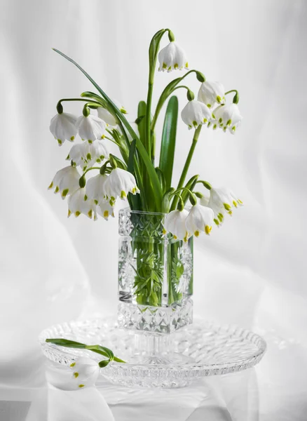 Buquê de belas primeiras flores de primavera — Fotografia de Stock