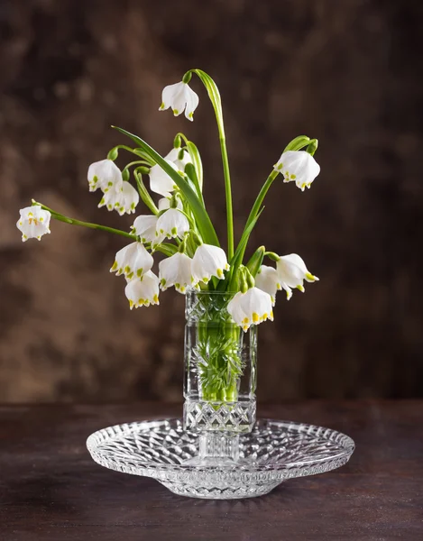 Still life with a bouquet of flowers — Stock Photo, Image