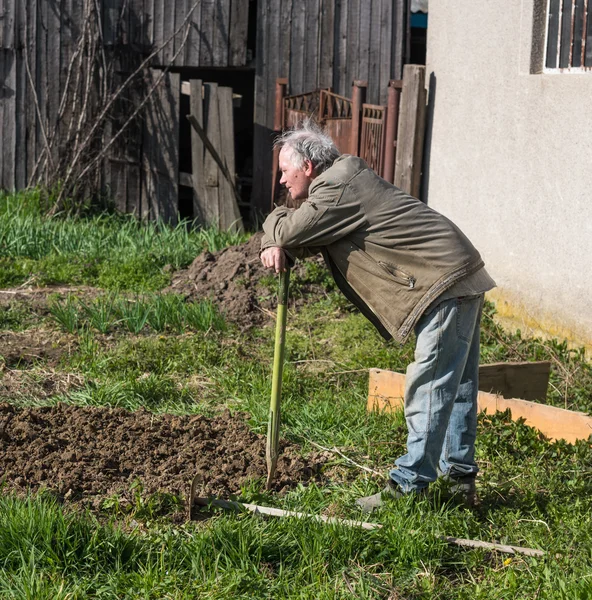 Arme boer schoffelen plantaardige — Stockfoto