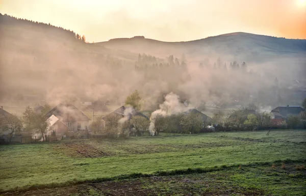 Spring landscape of scenic forest — Stock Photo, Image