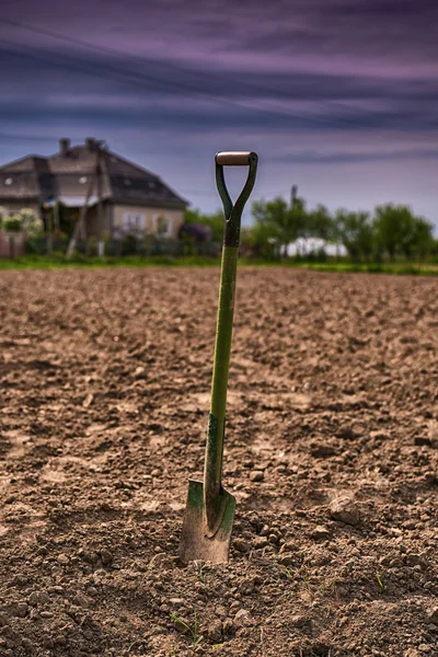 Schaufel im Garten — Stockfoto