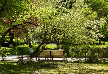 Bankta oturan insanlar