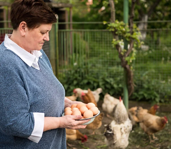 Fresh organic eggs — Stock Photo, Image