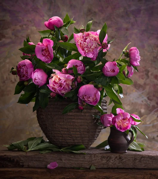 Mooi boeket van roze pioenrozen — Stockfoto