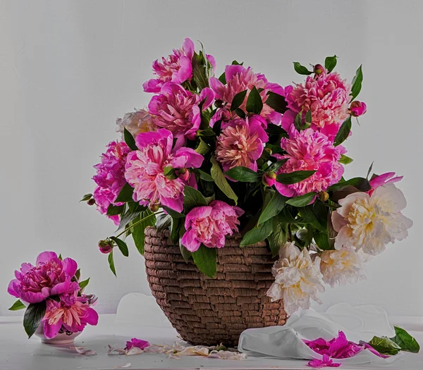 Bouquet of pink and white peonies — Stock Photo, Image