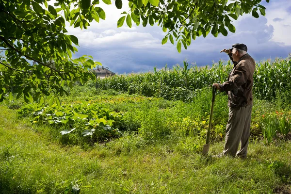 Farmář s lopatou — Stock fotografie