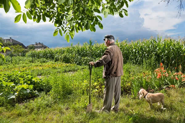 Agricoltore in piedi con una pala — Foto Stock