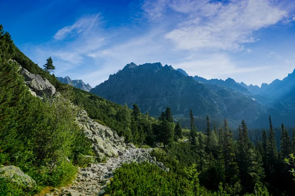 Rocky mountains view — Stock Photo, Image