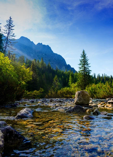 Hegyi folyó, a Magas-Tátra — Stock Fotó