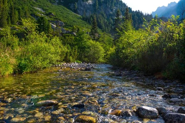 Rivière de montagne à High Tatras — Photo