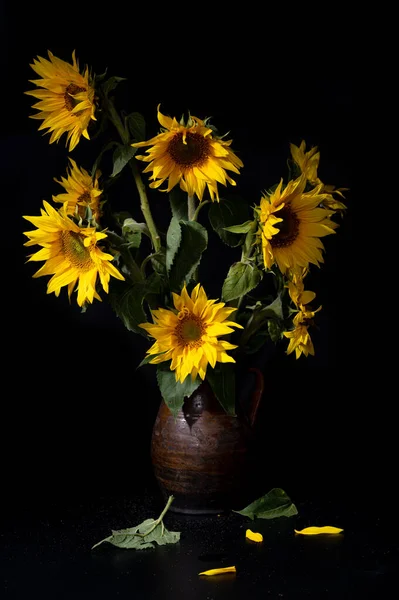 Beautiful bouquet of sunflowers in vase on a black table over black background. Autumn still life