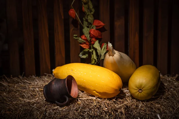 Bodegón Otoño Con Calabazas Taza Cerámica Acostada Sobre Una Paja —  Fotos de Stock