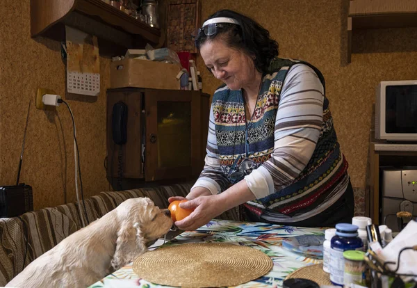 Starsza Kobieta Daje Jabłko Psu Kuchni — Zdjęcie stockowe