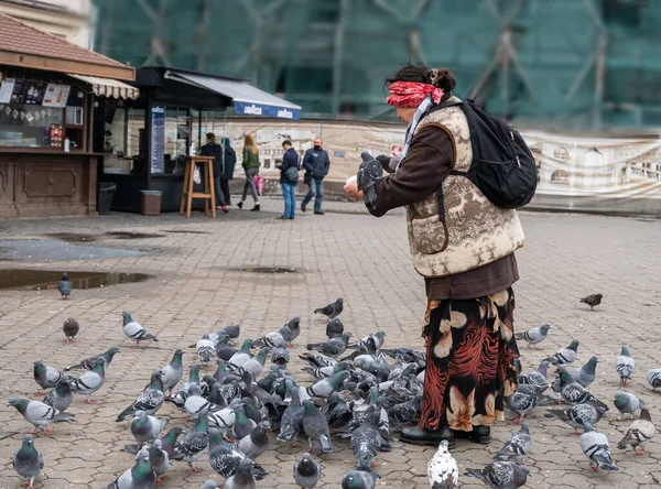 Uzhhorod Ucrania Noviembre 2020 Mujer Alimentando Las Palomas Las Manos — Foto de Stock