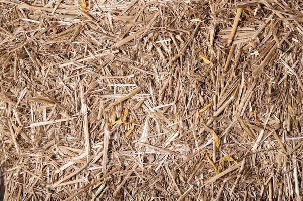 Hay or straw texture background. Natural background