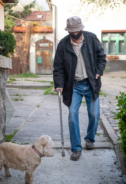 Hombre Mayor Máscara Protectora Con Bastón Paseando Con Perro Día —  Fotos de Stock