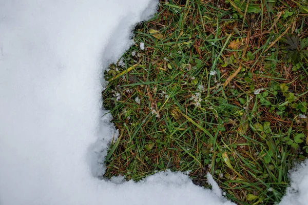 White Snow Green Grass Winter Top View — Stock Photo, Image