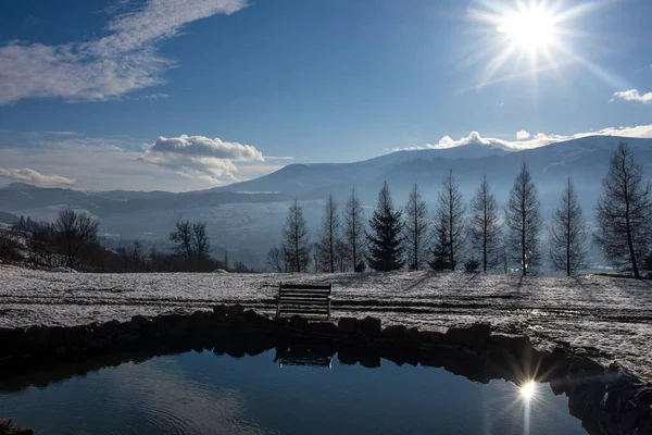 Paisaje Invernal Parque Nevado Con Hermoso Estanque Pequeño Día Soleado —  Fotos de Stock