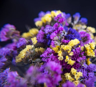 Güzel bir buket limonyum. Çiçek doğal arkaplanı