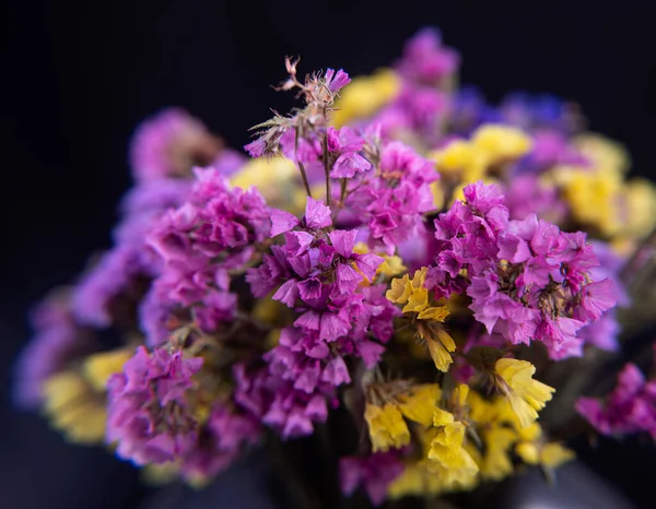 Beautiful Bouquet Limonium Flower Natural Background — Stock Photo, Image