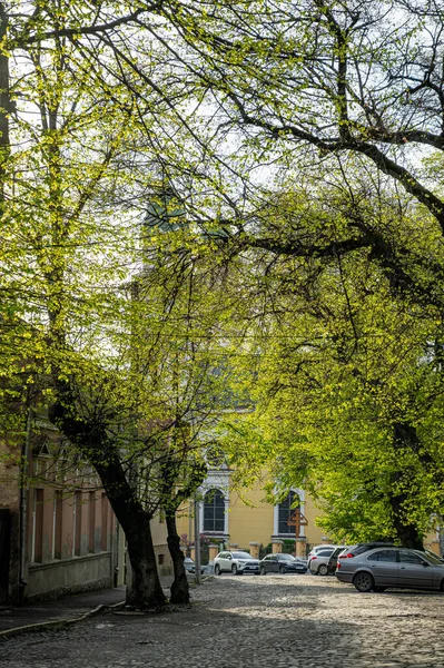 Uzhorod Ukraine Mai 2021 Griechisch Katholische Kathedrale Uzhgorod Ukraine Die — Stockfoto