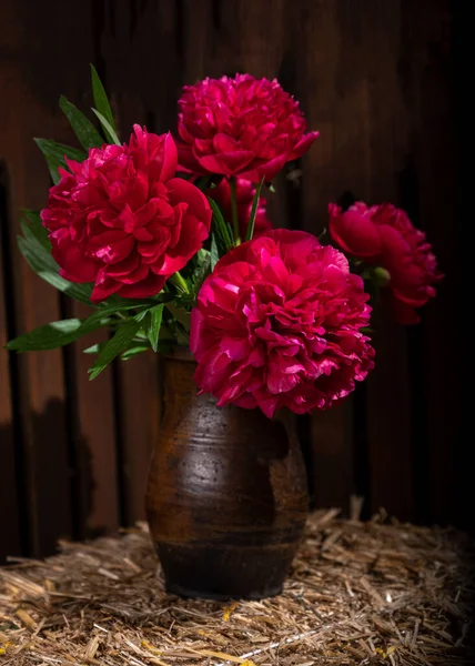 Jarrón Con Hermosas Peonías Rojas Florecientes — Foto de Stock