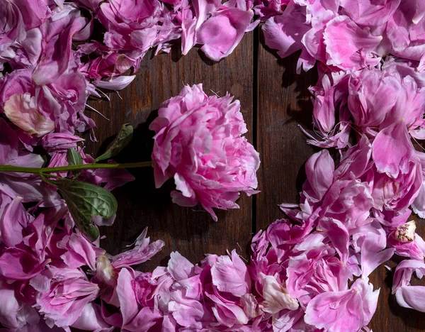 Pivoines Roses Pétales Sur Fond Bois Beau Fond Naturel — Photo