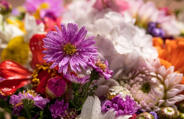 Close Beautiful Bouquet Bright Flowers — Stock Photo, Image
