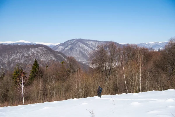 Winter Landscape Mountain Forest Endangered Forests Due Climate Change — Stock Photo, Image