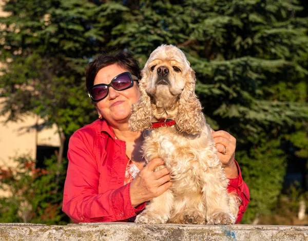 Seniorin Mit Amerikanischem Cocker Spaniel Posiert Freien — Stockfoto