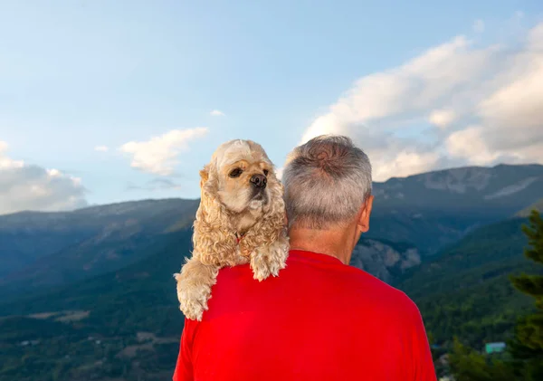 Senior Man Med Amerikansk Cocker Spaniel Poserar Utomhus Royaltyfria Stockfoton