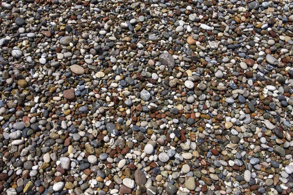 Multicolored Sea Pebbles Natural Background Texture Close Texture — Stock Photo, Image