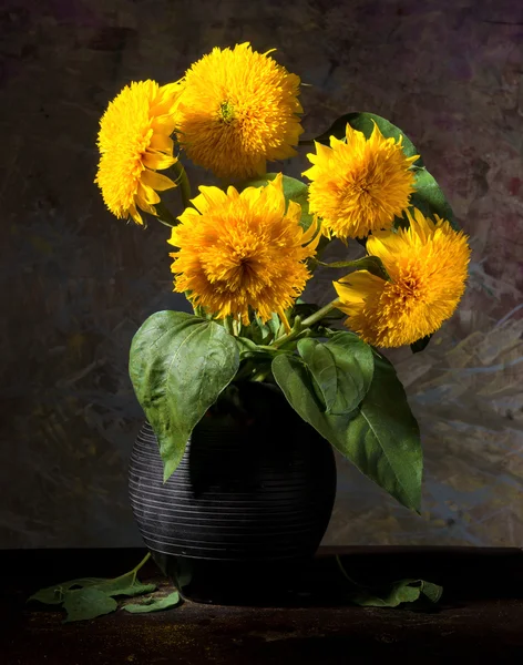 Still life with beautiful sunflowers in vase — Stock Photo, Image