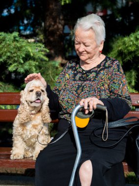 yavru horoz İspanyol ile bir bankta oturan yaşlı kadın