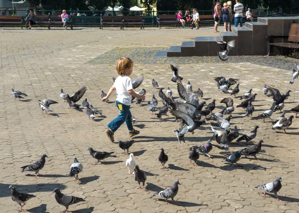 Kleines Mädchen spielt mit Tauben — Stockfoto