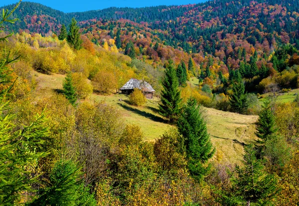 Sonbahar manzarası — Stok fotoğraf