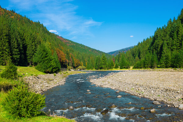 Autumn landscape