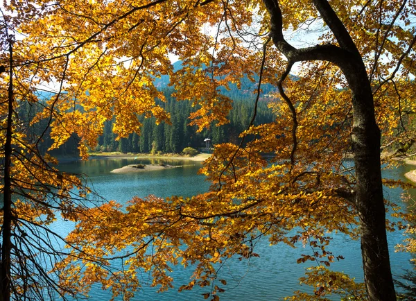 Jezero Sinevir v Karpatských horách — Stock fotografie